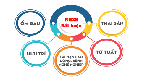 bảo hiểm xã hội bắt buộc