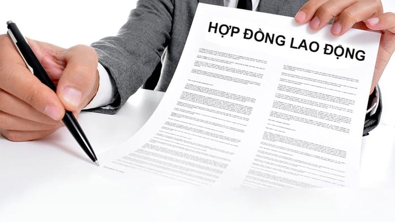 Có mấy loại hợp đồng lao động?